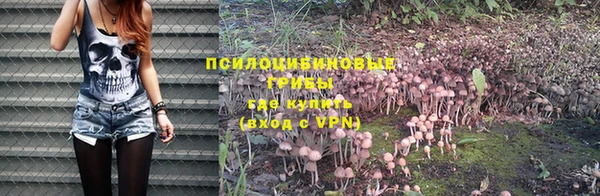 амф Болхов