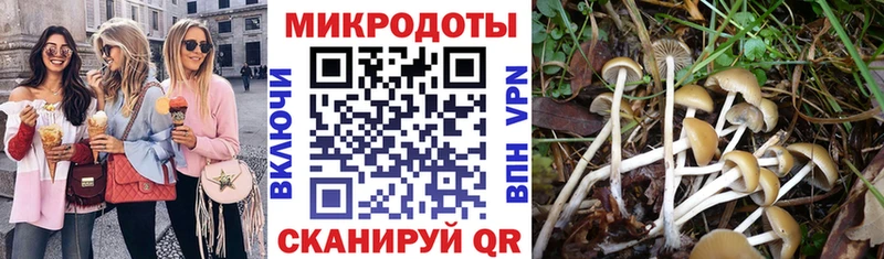 купить закладку Галич Галлюциногенные грибы GOLDEN TEACHER